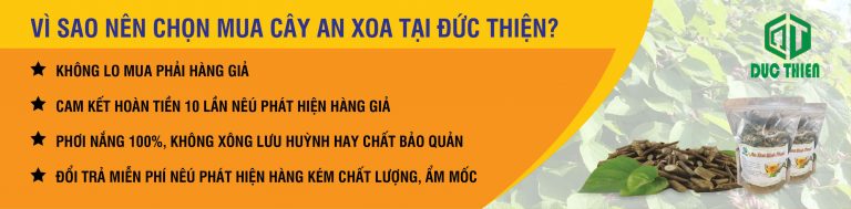 cây an xoa