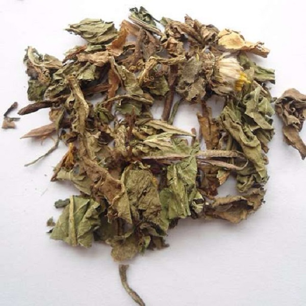 bồ công anh bồ công anh