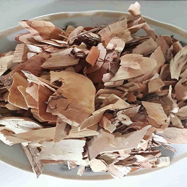 cây muối cây muối