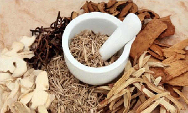 cỏ xước cỏ xước