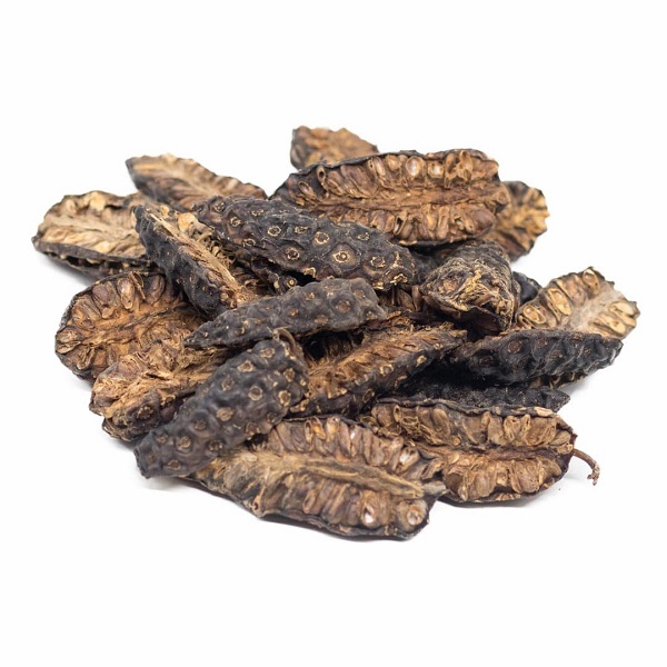 trái nhàu khô trái nhàu khô