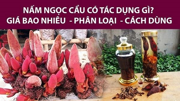 nấm ngọc cẩu nấm ngọc cẩu