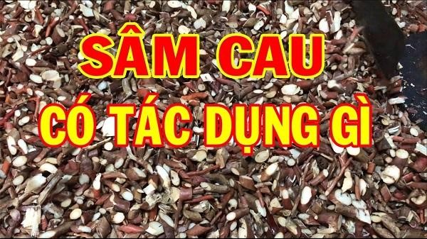 sâm cau đỏ sâm cau đỏ