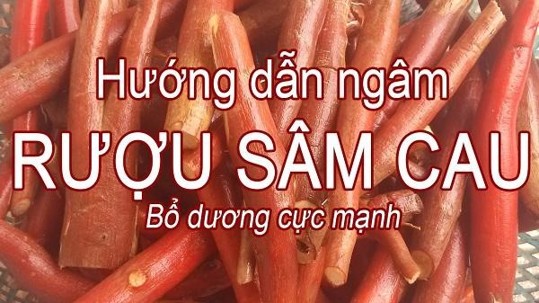 sâm cau đỏ sâm cau đỏ