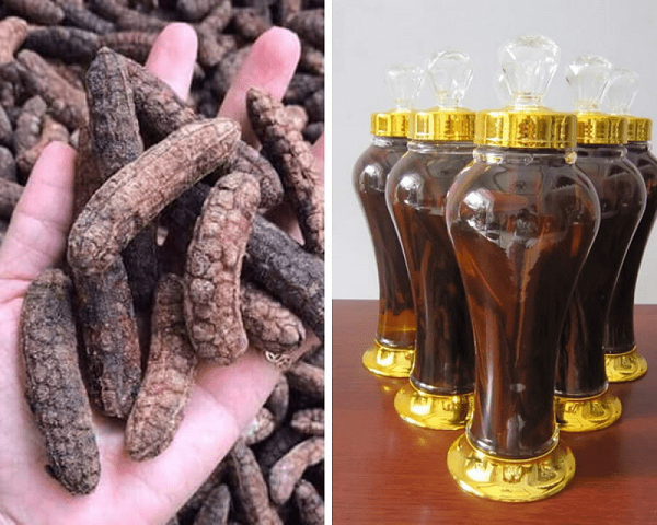 chuối hột rừng ngâm rượu có tác dụng gì